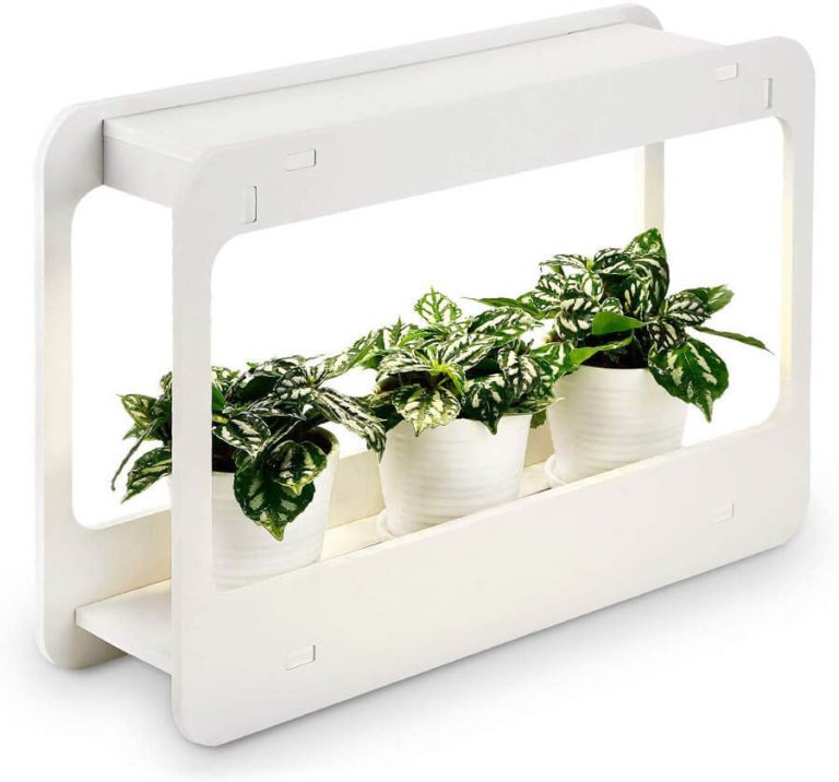 Shelf for plants Luxafor