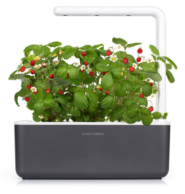 Click and grow for plants Luxafor